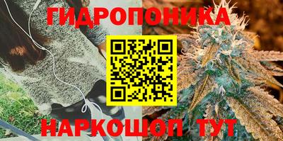 ALPHA PVP Кунгур