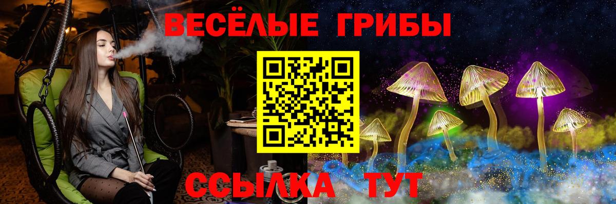 Старая Купавна  Псилоцибиновые грибы GOLDEN TEACHER  дарнет шоп  Вход с VPN 
